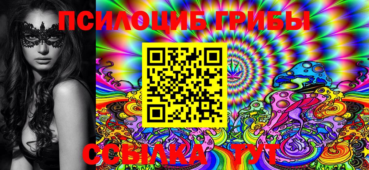 Галлюциногенные грибы Cubensis  Вход с VPN  Углич 